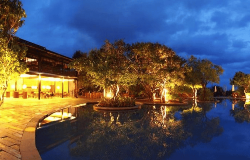 Cinnamon Wild Yala - Yala