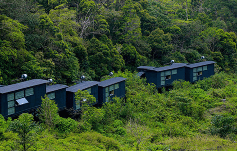 Rainforest Eco Lodge - Deniyaya