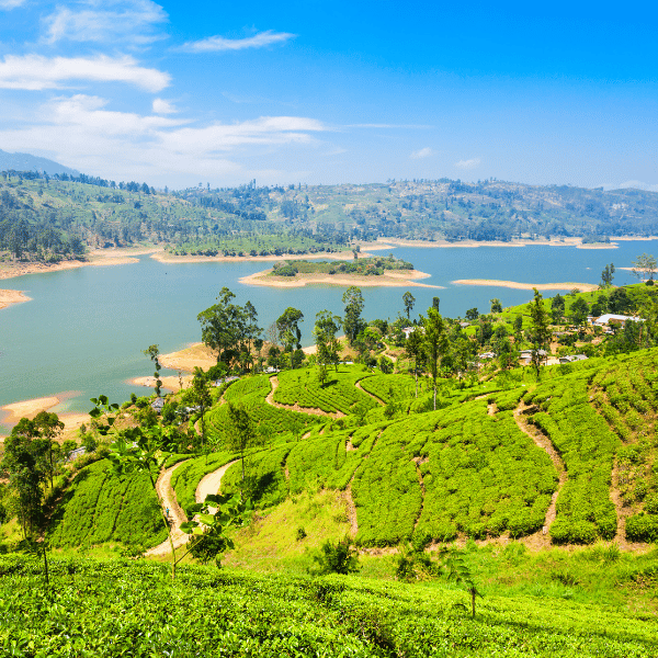 Sri Lanka