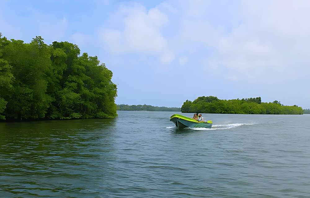 Madu River Boat Ride