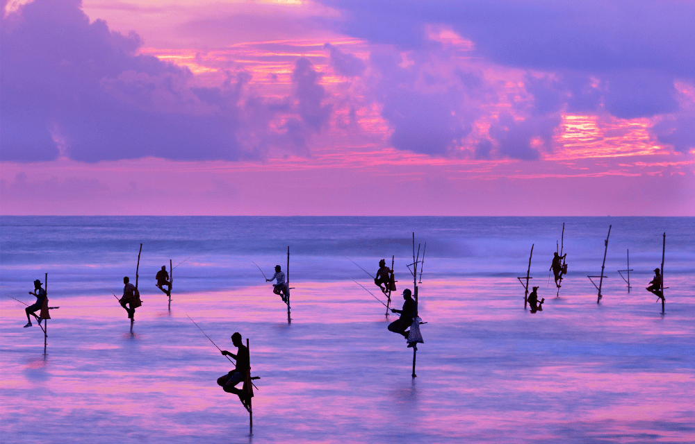 Weligama Stilt Fisherman