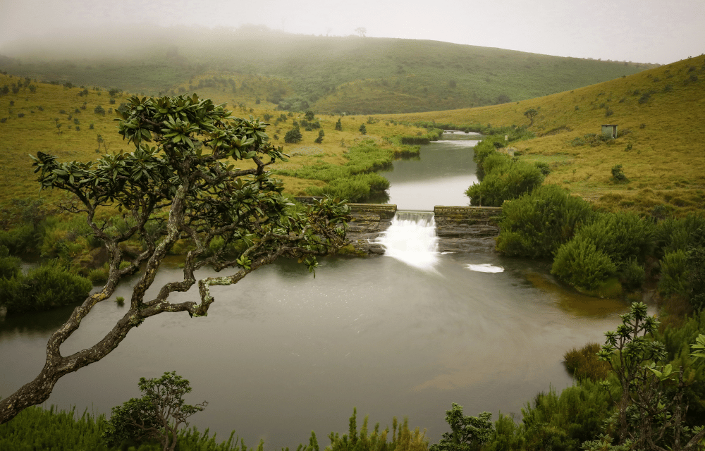 Horton Plains by TravelPlanner