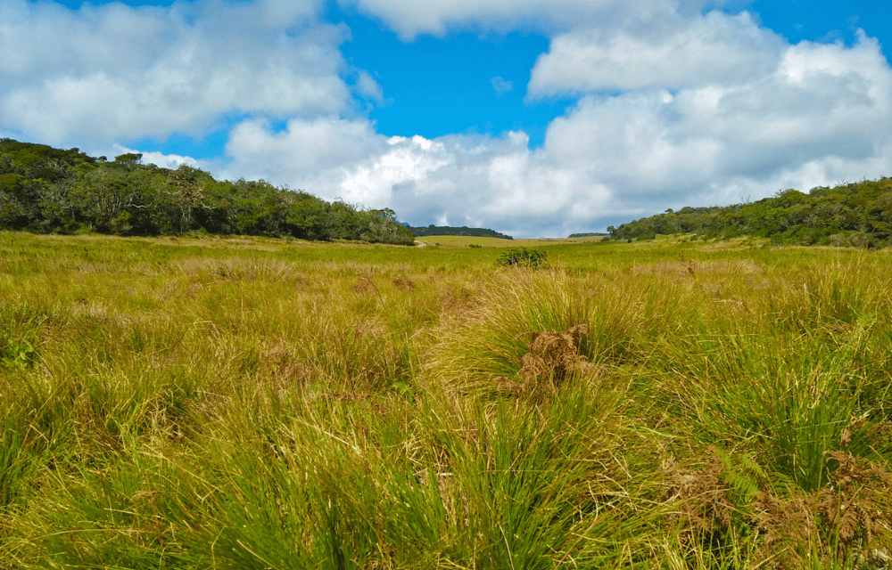 Horton Plains by TravelPlanner