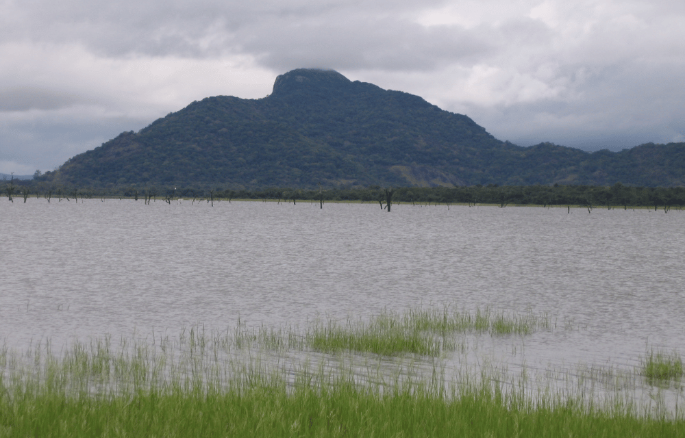 Kandalama Lake by TravelPlanner