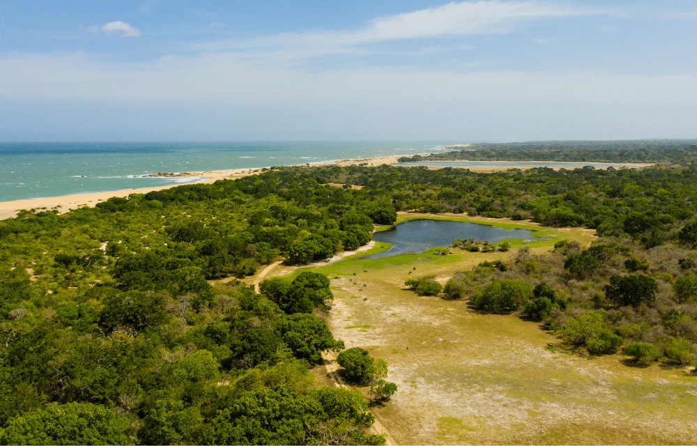 Kumana National Park by TravelPlanner