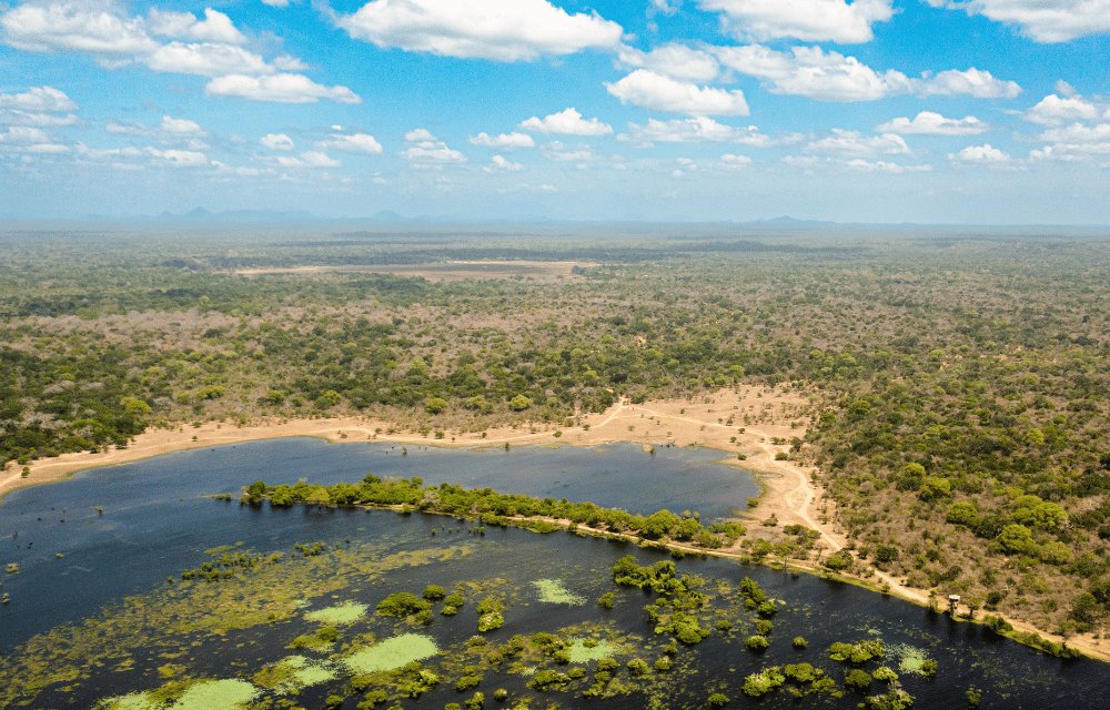 Kumana National Park by TravelPlanner