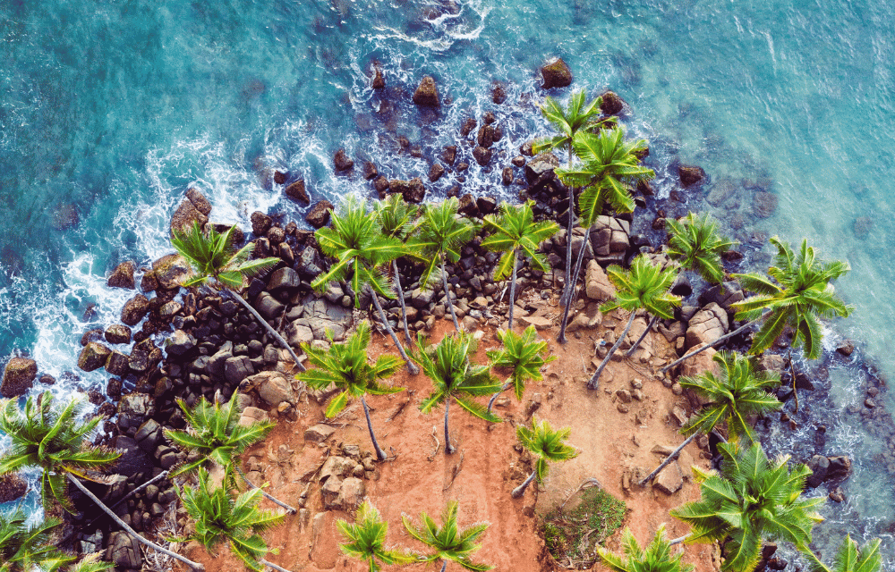 Mirissa view from Land by TravelPlanner