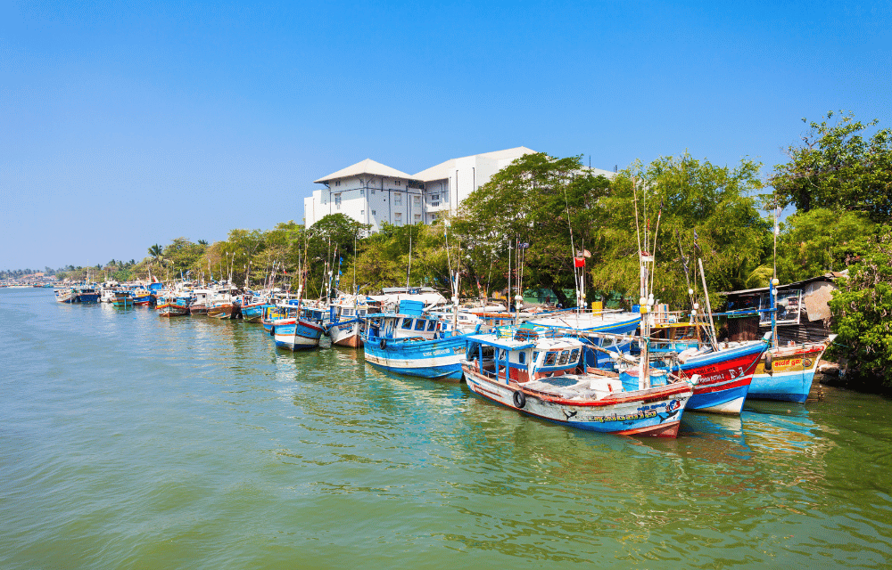 Negombo Boats by TravelPlanner