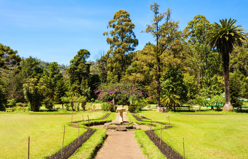 Victoria Park at Nuwara Eliya by TravelPlanner