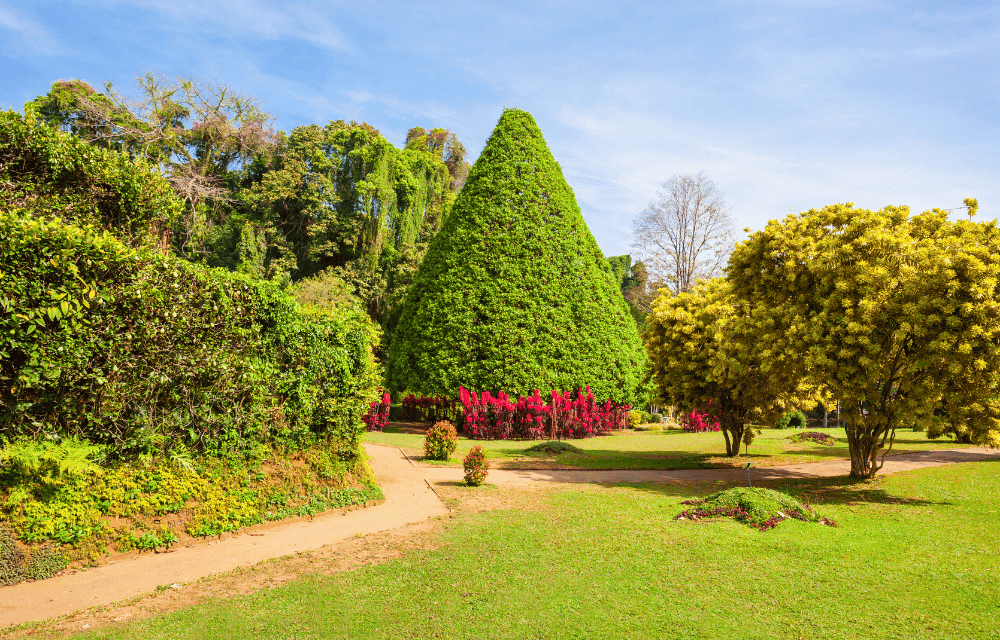 The Royal Botanical Garden Peradeniya by TravelPlanner