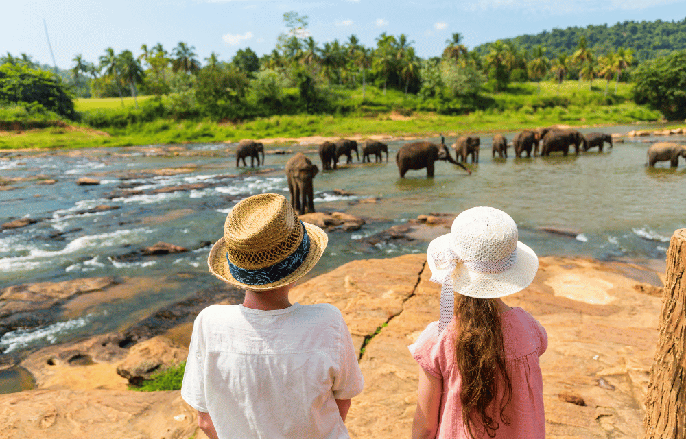 Udawalawe Elephant Transit Home by TravelPlanner