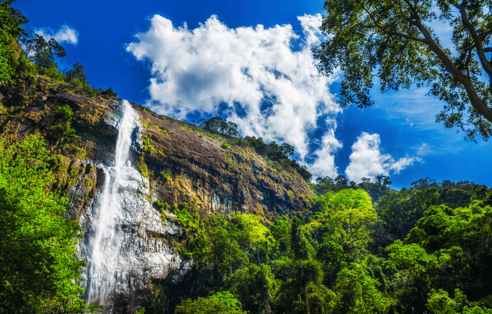 Diyaluma Falls by TravelPlanner