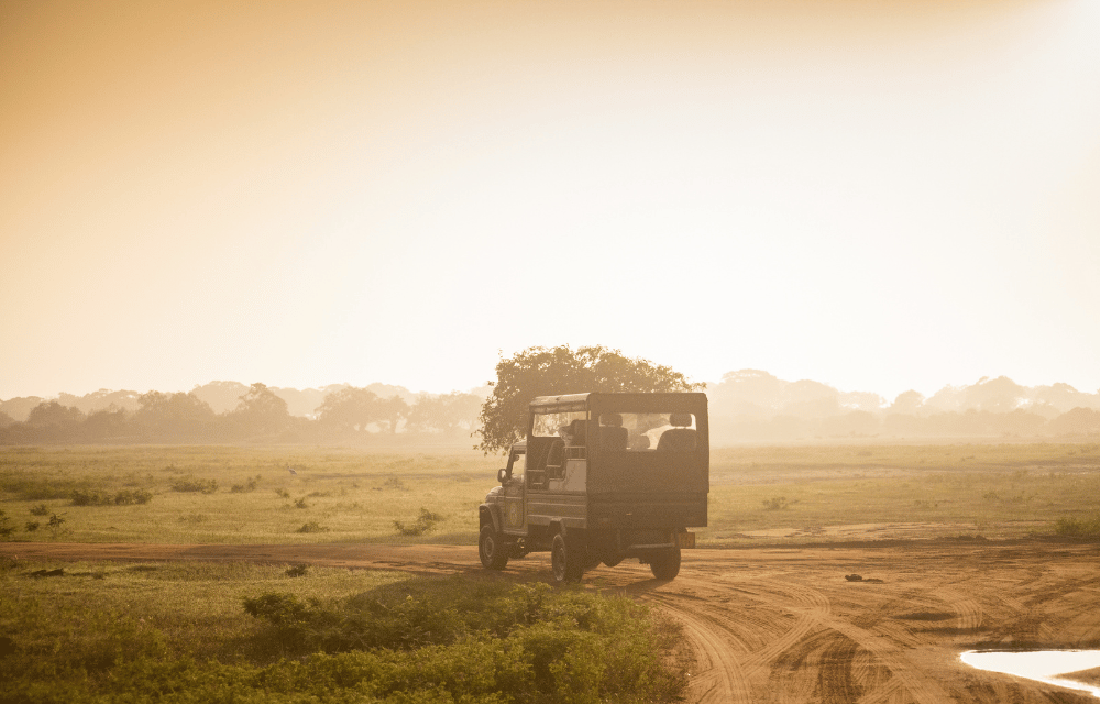 Sunrise at Yala by TravelPlanner