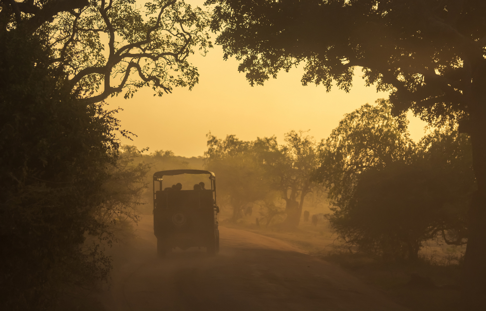 Night Safari at yala by TravelPlanner